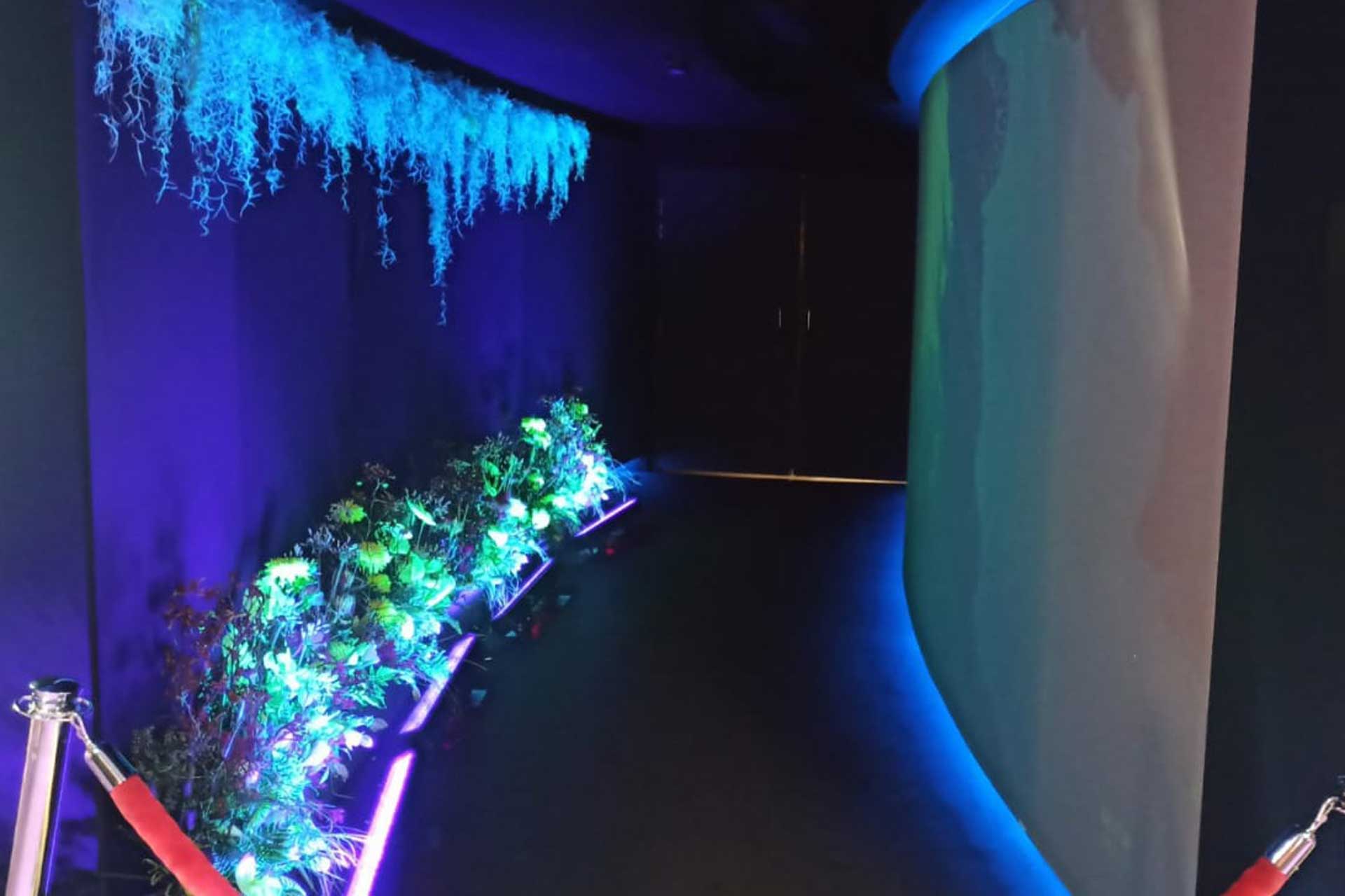 Alternative text - Lancement d’Avatar au cinéma Pathé de Vaise avec Novelty AURA